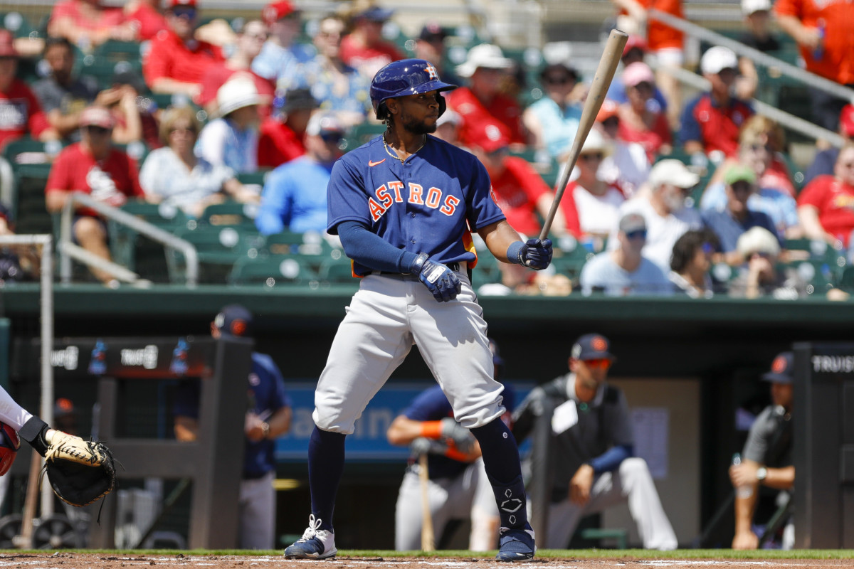 Houston Astros Prospect Corey Julks